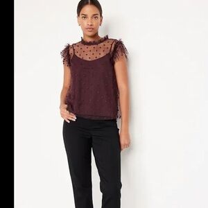 Old Navy Ruffle Trim Sheer Top